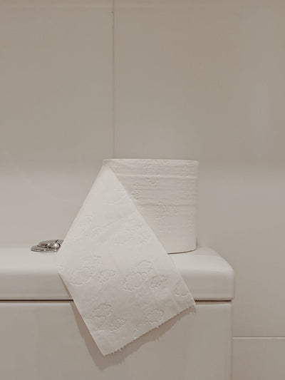 Don't Flush Paper Towels If You Want to Keep Costs Low!