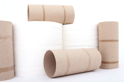 12 Creative Ways to Reuse Your Toilet Paper Tubes