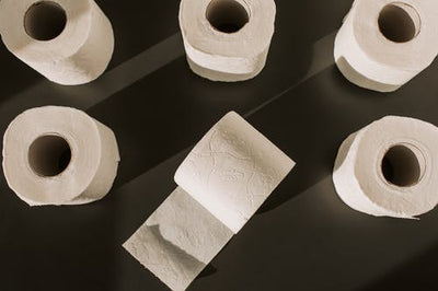 Recycled Natural Toilet Paper Rolls