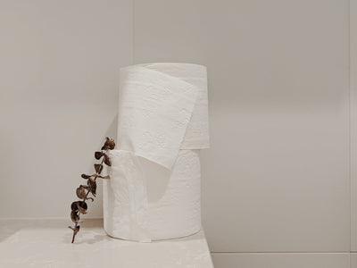 Buy Sustainable Plastic Free Toilet Paper