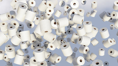 The Evolution of Toilet Paper